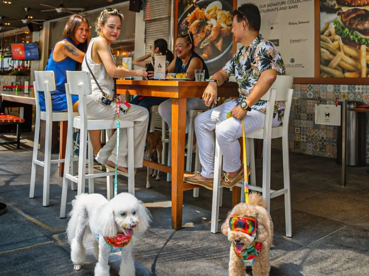 Paws &amp; Play at Element on Tras Street